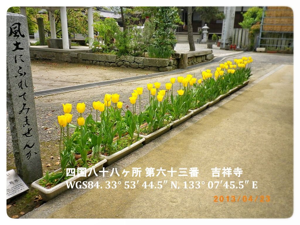sample