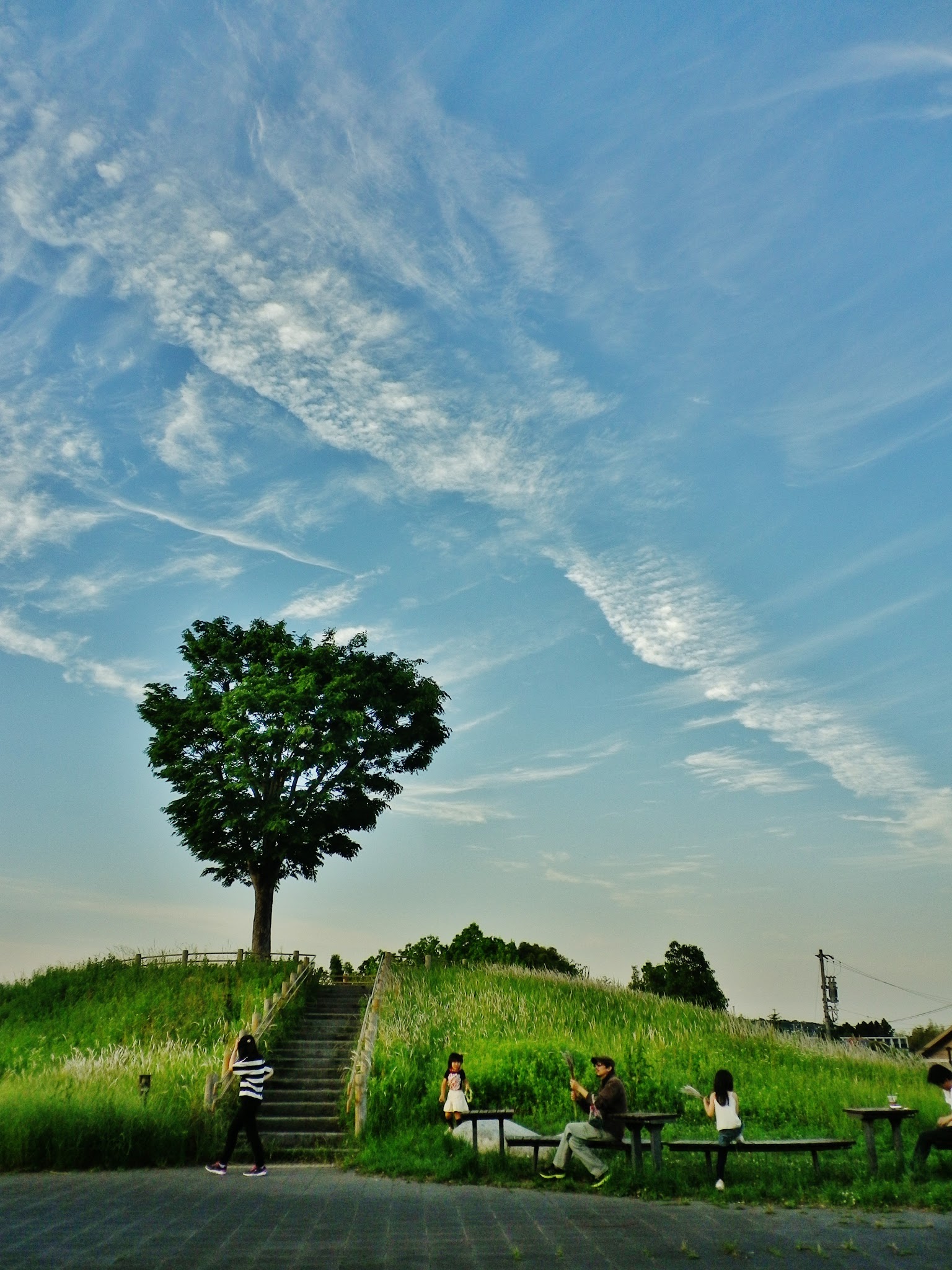 picture sample